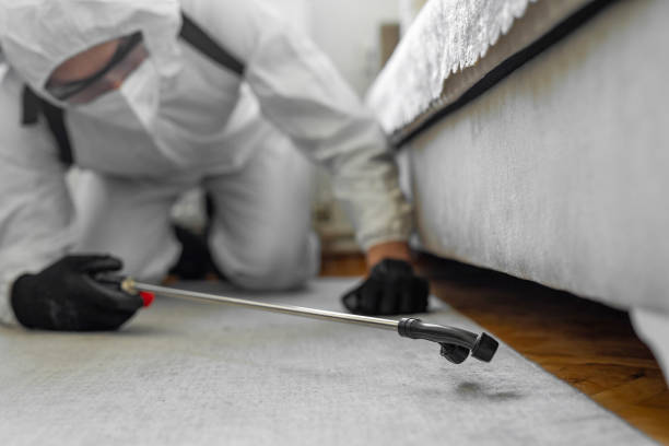 Professional Cockroach Control technician working in Oak Leaf, TX