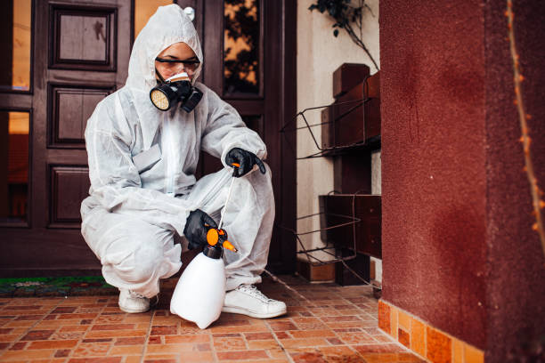 Reliable Cockroach Control contractor in Oak Leaf, TX by Nex Pest Control